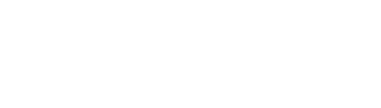 Triyak Ventures Logo - Web Development & AI Solutions in India